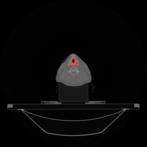 val_1691.png